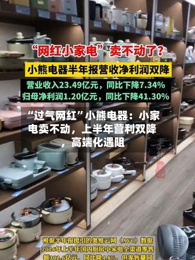 “过气网红	”小熊电器：小家电卖不动，上半年营利双降，高端化遇阻-第2张图片