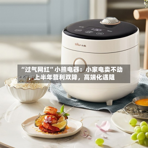 “过气网红”小熊电器：小家电卖不动，上半年营利双降	，高端化遇阻-第3张图片