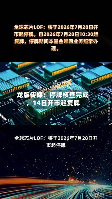 龙版传媒：停牌核查完成，14日开市起复牌-第3张图片