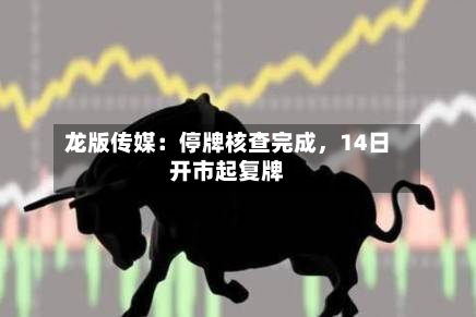 龙版传媒：停牌核查完成，14日开市起复牌-第2张图片