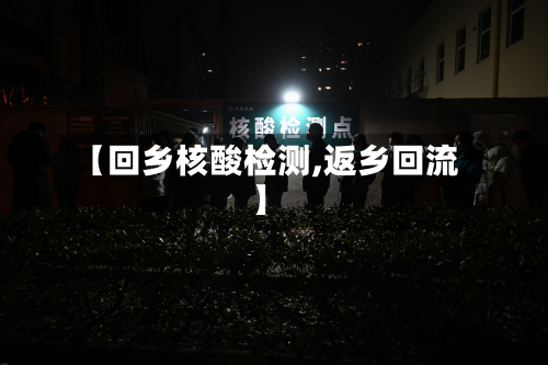 【回乡核酸检测,返乡回流】-第2张图片