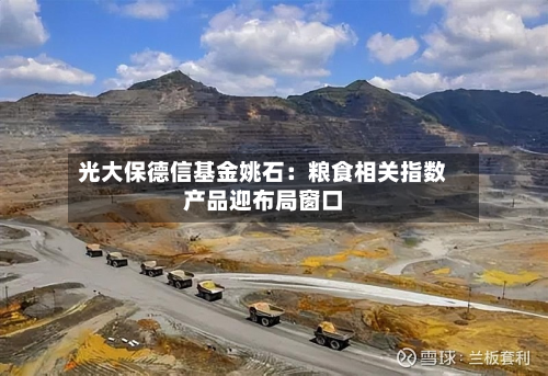 光大保德信基金姚石：粮食相关指数产品迎布局窗口-第2张图片