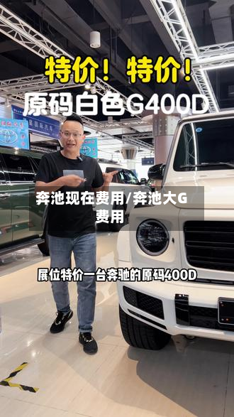 奔池现在费用/奔池大G费用-第3张图片