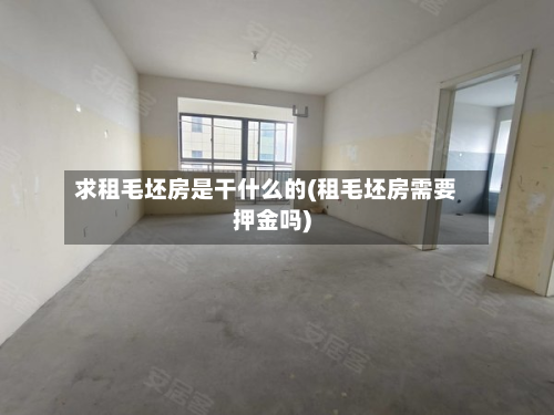求租毛坯房是干什么的(租毛坯房需要押金吗)-第2张图片