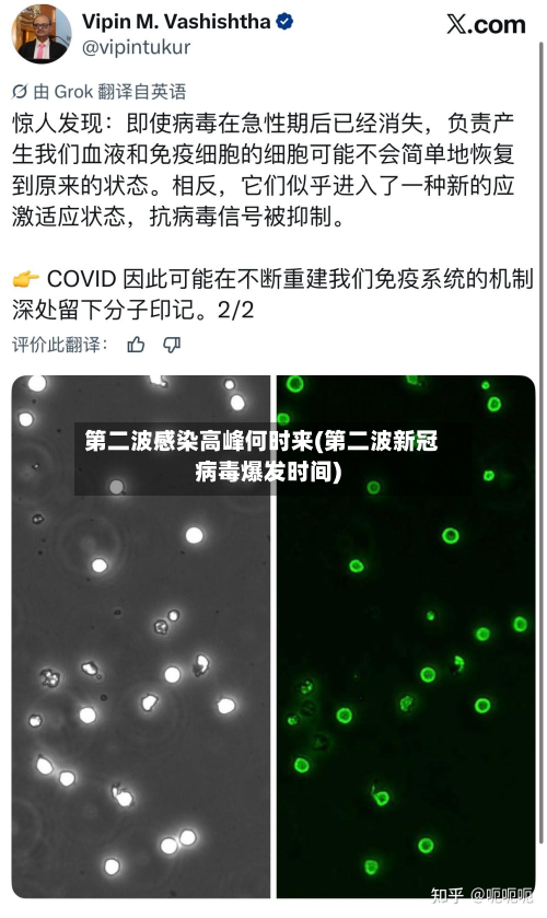 第二波感染高峰何时来(第二波新冠病毒爆发时间)