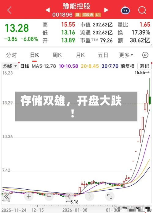 存储双雄，开盘大跌！