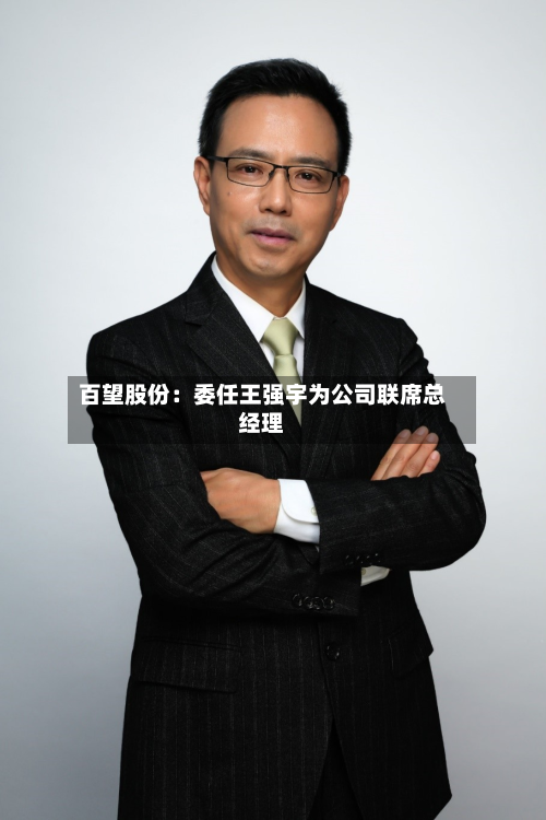 百望股份：委任王强宇为公司联席总经理-第2张图片