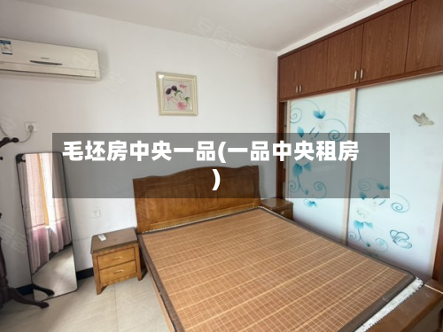 毛坯房中央一品(一品中央租房)-第3张图片