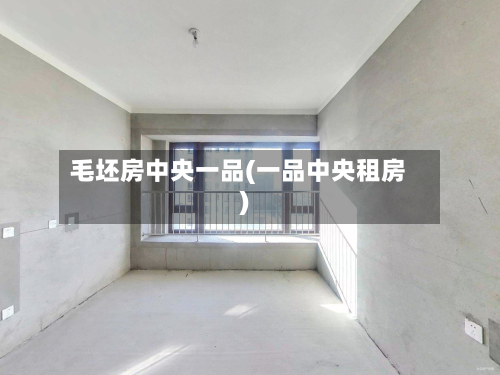 毛坯房中央一品(一品中央租房)