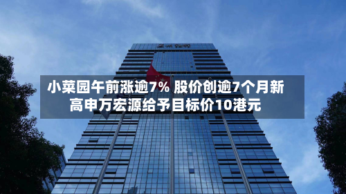 小菜园午前涨逾7% 股价创逾7个月新高申万宏源给予目标价10港元-第3张图片