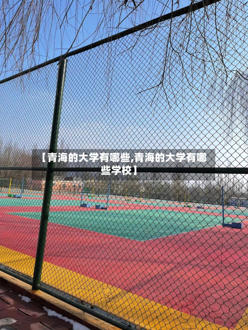 【青海的大学有哪些,青海的大学有哪些学校】