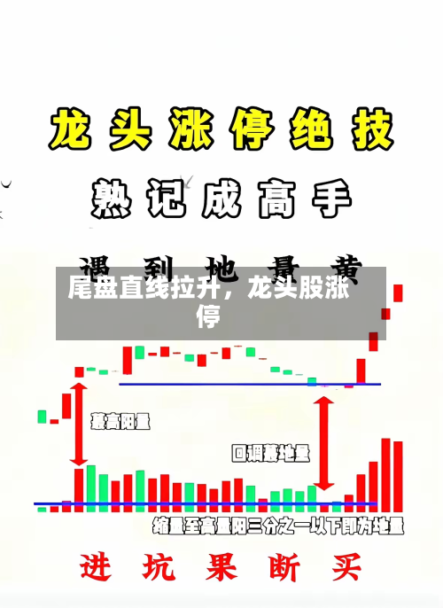 尾盘直线拉升，龙头股涨停-第2张图片