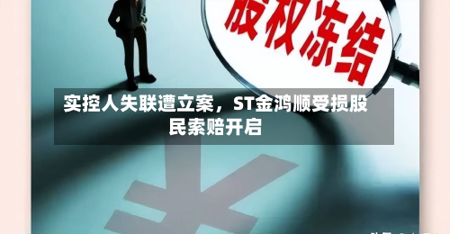 实控人失联遭立案，ST金鸿顺受损股民索赔开启-第2张图片