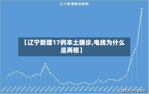 【辽宁新增17例本土确诊,电线为什么是两根】-第2张图片