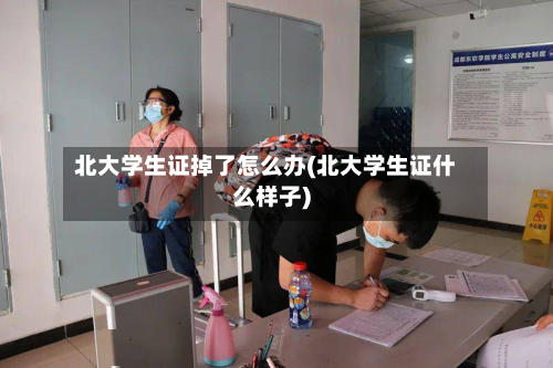 北大学生证掉了怎么办(北大学生证什么样子)