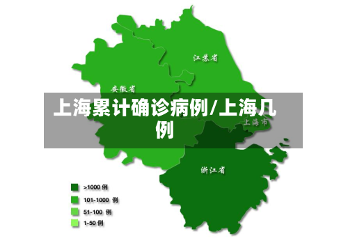 上海累计确诊病例/上海几例