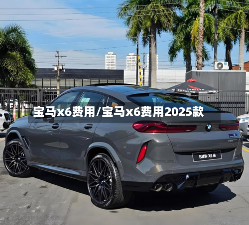 宝马x6费用/宝马x6费用2025款-第2张图片