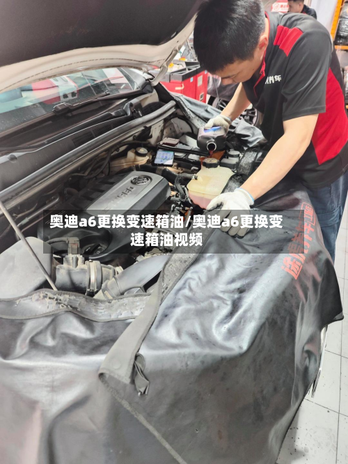 奥迪a6更换变速箱油/奥迪a6更换变速箱油视频-第2张图片
