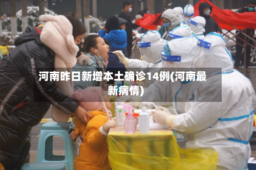 河南昨日新增本土确诊14例(河南最新病情)-第2张图片
