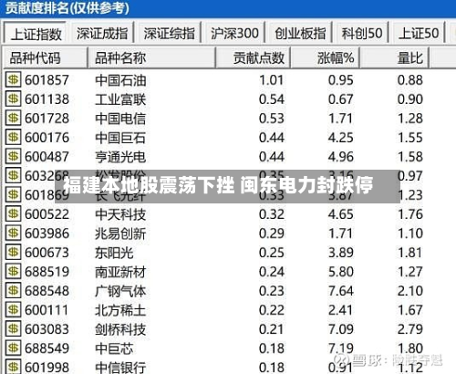 福建本地股震荡下挫 闽东电力封跌停-第2张图片