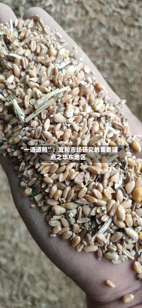 “一语道粕	”：豆粕市场研究的重要锚点之华东地区-第2张图片