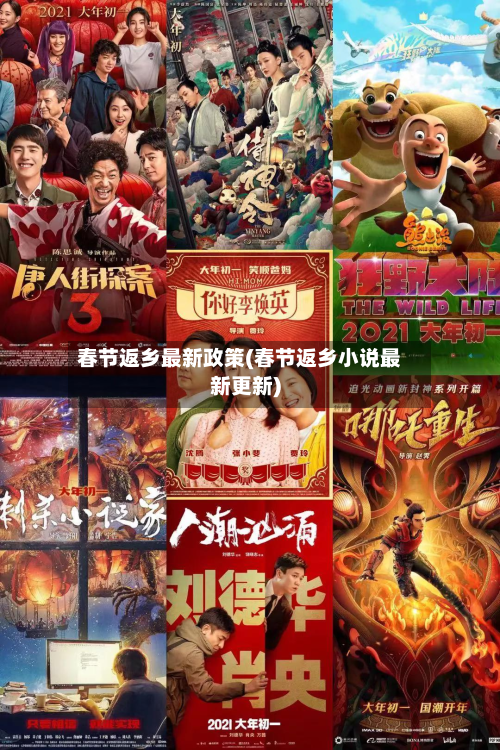 春节返乡最新政策(春节返乡小说最新更新)