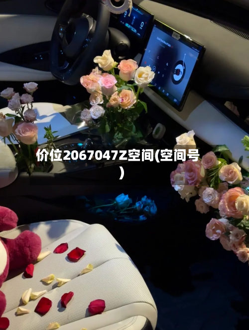 价位2067047Z空间(空间号)