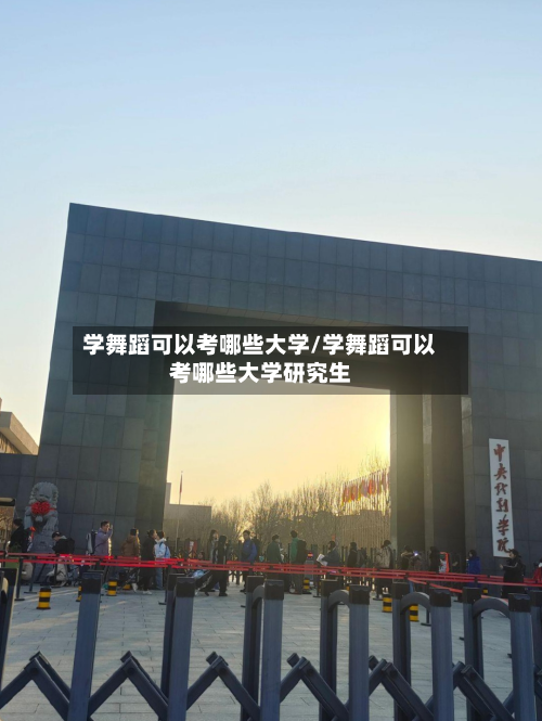 学舞蹈可以考哪些大学/学舞蹈可以考哪些大学研究生-第3张图片