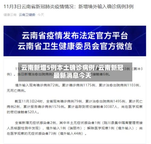 云南新增5例本土确诊病例/云南新冠最新消息今天-第2张图片