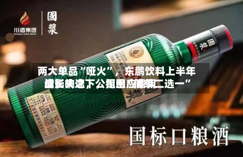 两大单品“哑火”	，东鹏饮料上半年增长失速，公司回应费用战影响之下，拒绝“简单二选一	”-第3张图片