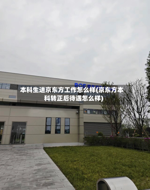 本科生进京东方工作怎么样(京东方本科转正后待遇怎么样)-第2张图片