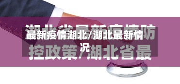 最新疫情湖北/湖北最新情况-第2张图片