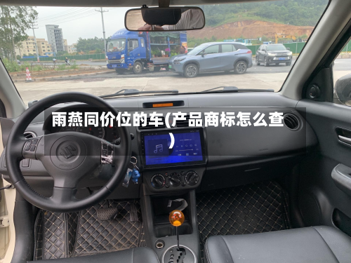 雨燕同价位的车(产品商标怎么查)-第3张图片