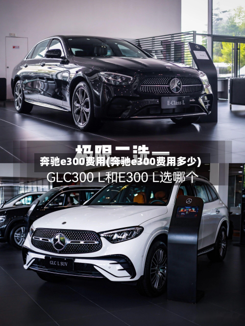 奔驰e300费用(奔驰e300费用多少)