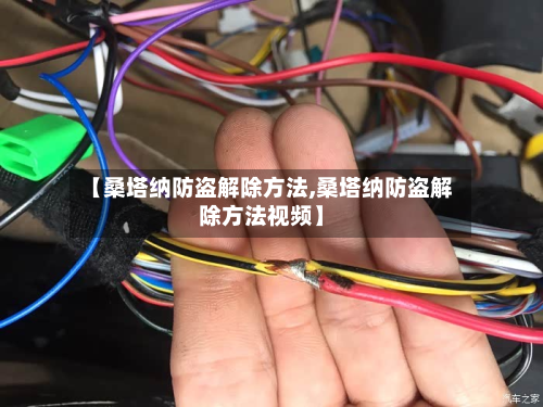 【桑塔纳防盗解除方法,桑塔纳防盗解除方法视频】-第2张图片