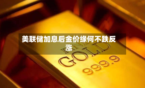 美联储加息后金价缘何不跌反涨
