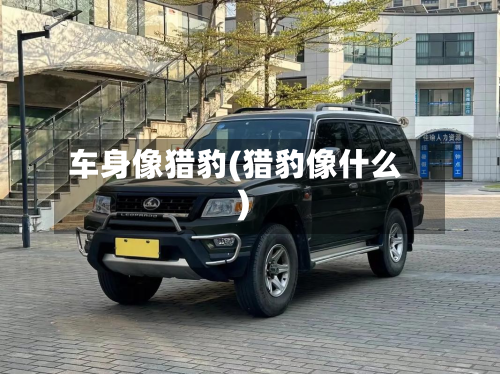 车身像猎豹(猎豹像什么)