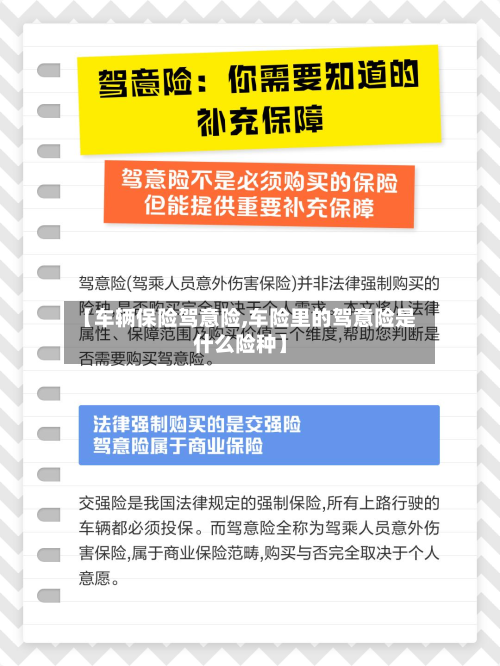 【车辆保险驾意险,车险里的驾意险是什么险种】