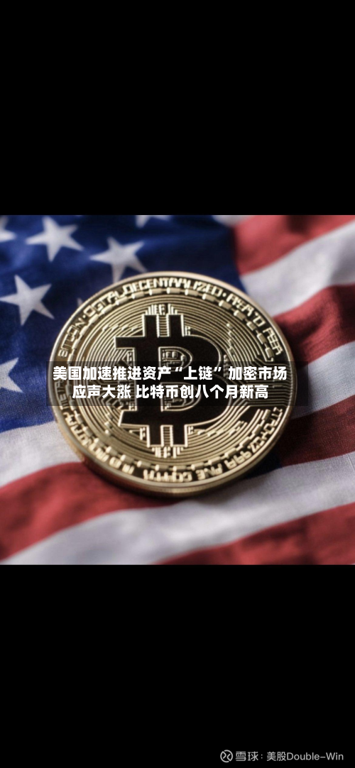 美国加速推进资产“上链” 加密市场应声大涨 比特币创八个月新高-第2张图片