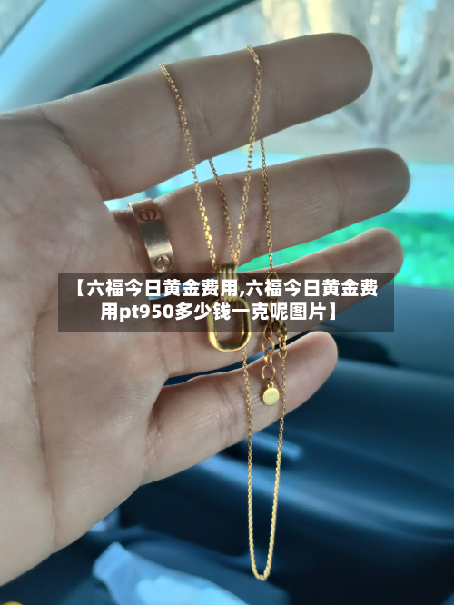 【六福今日黄金费用,六福今日黄金费用pt950多少钱一克呢图片】-第2张图片