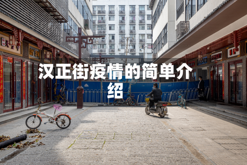 汉正街疫情的简单介绍-第2张图片