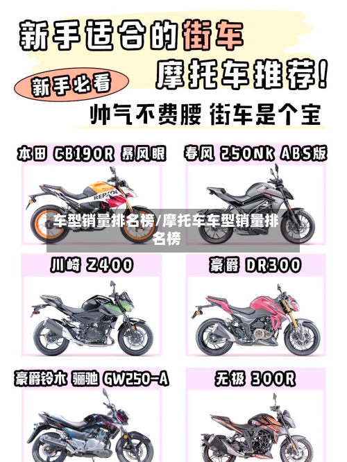 车型销量排名榜/摩托车车型销量排名榜