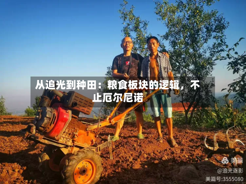 从追光到种田：粮食板块的逻辑，不止厄尔尼诺