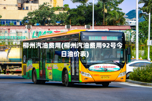 柳州汽油费用(柳州汽油费用92号今日油价表)-第3张图片