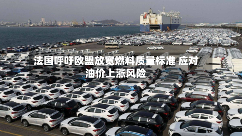 法国呼吁欧盟放宽燃料质量标准 应对油价上涨风险