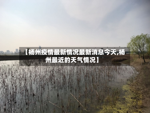 【杨州疫情最新情况最新消息今天,杨州最近的天气情况】