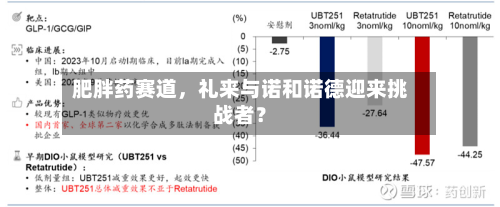 肥胖药赛道	，礼来与诺和诺德迎来挑战者？-第1张图片