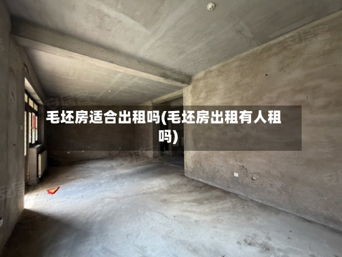 毛坯房适合出租吗(毛坯房出租有人租吗)