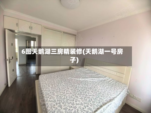 6图天鹅湖三房精装修(天鹅湖一号房子)