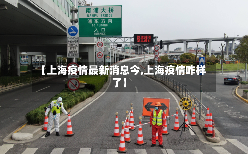 【上海疫情最新消息今,上海疫情咋样了】-第2张图片